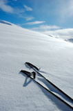 Ski+Poles