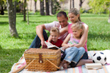 Smiling family reading while having a picnic