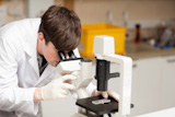 Close up of a science student looking in a microscope