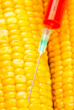 Syringe piercing corn