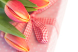 Pink,and,yellow,tulips,resting,on,pink,wrapped,present