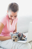 The lovely woman is using the laptop equipped with the yorkshire terrier.