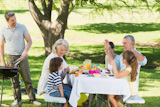 Father at barbecue grill with family having lunch in park
