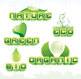 Green+Ecology+vector+headers%2C+titles+or+captions%3A+Bio%2C+Organic%2C+Nature+and+etc