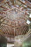 ������Ʋ������