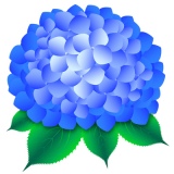 �������� �Ŀ�