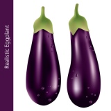 Realistic Eggplant