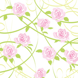 rose background pink