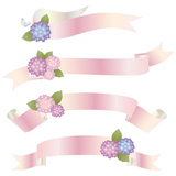 hydrangea ribbon pink