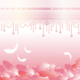 jewelry and feather background