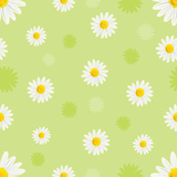white daisies pattern