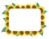 sunflower card