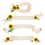 sunflower ribbon