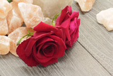 Beauty rose