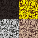 �ҥ祦���ѥ�����