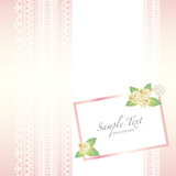 card with lace background and rose