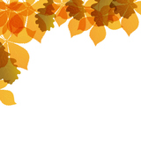 colored leaves background