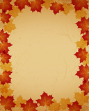 old paper background with maple