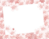 cherry blossom flowers frame