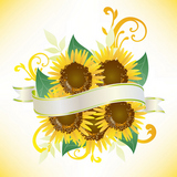 ribbon with sunflower
