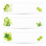 green leaves background set