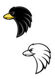 Eagle+mascots+isolated+on+white+background+for+design