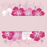 hibiscuses background frame