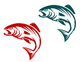 Salmon+fish+in+two+variations+for+fishing+sports+mascot