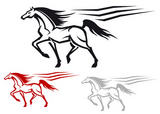 Racing+arabian+stallion+isolated+on+white+background+for+equestrian+design