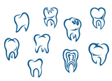 Human+teeth+set+isolated+on+white+background+for+dental+medicine+background