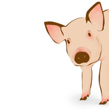 Cute+pink+pig+illustration