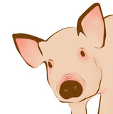 Close+up+of+pig+-+illustration
