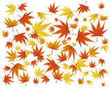 Pattern+of+autumn++maples+leaves.+Vector+illustration.