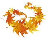 Pattern+of+autumn++maples+leaves.+Vector+illustration.