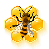 Vector+bee+and+honeycombs