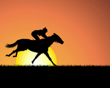 horse+on+sunset+background