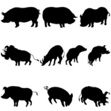 pigs+and+boars+silhouettes+set