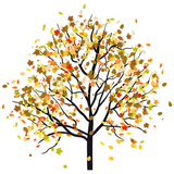 Autumn+tree