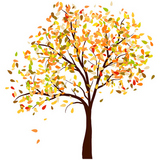 Autumn+tree