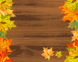 Autumn+maple