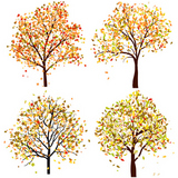 Set+of+four+autumn+tree