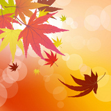 autumn+leaves