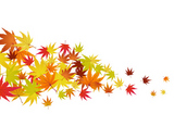 autumn+leaves