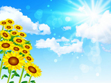 �Ҥޤ�ꡡ�����ơ��ط�