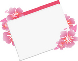 hibiscus background card