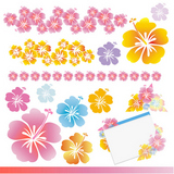 Hibiscus Card Material Illustration