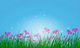 Meadow+color+background