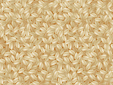 Brown rice, Seamless pattern