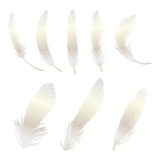 feather set