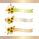 sunflower and ribbon